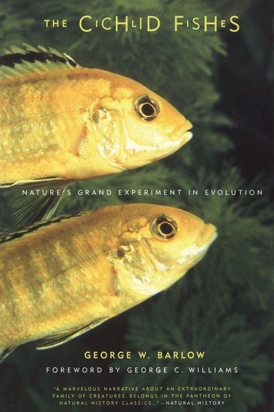 Produktbild: The Cichlid Fishes