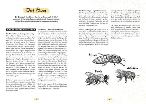 Produktbild: Mein Bienenjahr