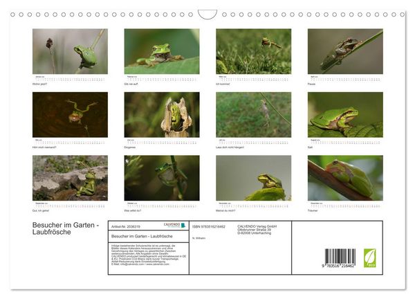 Produktbild: Besucher im Garten - Laubfr&ouml;sche (Wandkalender 2026 DIN A3 quer), CALVENDO Monatskalender
