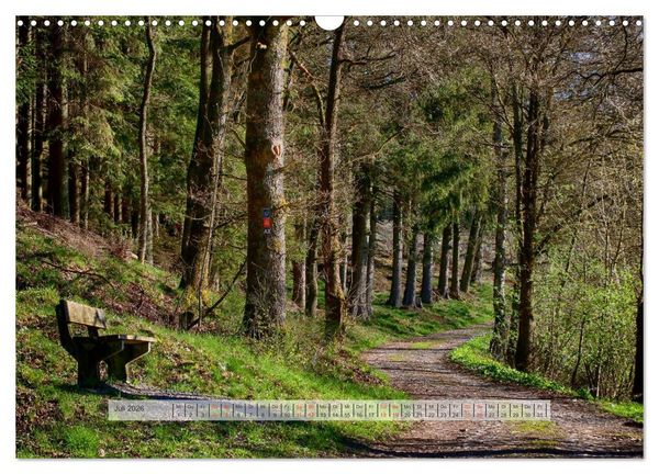 Produktbild: Wald im Bergischen Land 2026 (Wandkalender 2026 DIN A3 quer), CALVENDO Monatskalender
