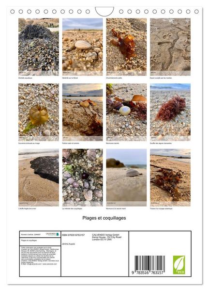 Produktbild: Plages et coquillages (Calendrier mural 2027 DIN A4 horizontal), CALVENDO calendrier mensuel