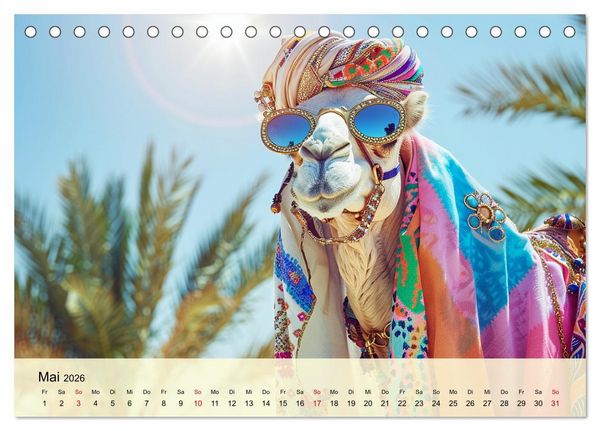 Produktbild: Modische Kamele in der W&uuml;ste. Extravagante Highlights (Tischkalender 2026 DIN A5 quer), CALVENDO Monatskalender