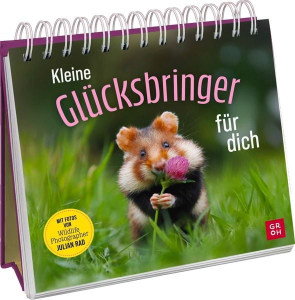 Produktbild: Kleine Gl&uuml;cksbringer f&uuml;r dich