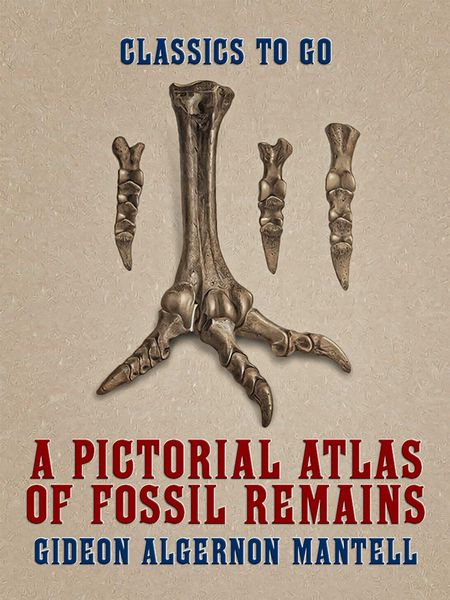 Produktbild: A Pictorial Atlas of Fossil Remains