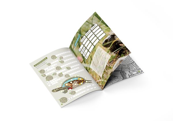 Produktbild: Faszination Schildkr&ouml;te - das besondere R&auml;tsel-, Mal- und Wissensbuch