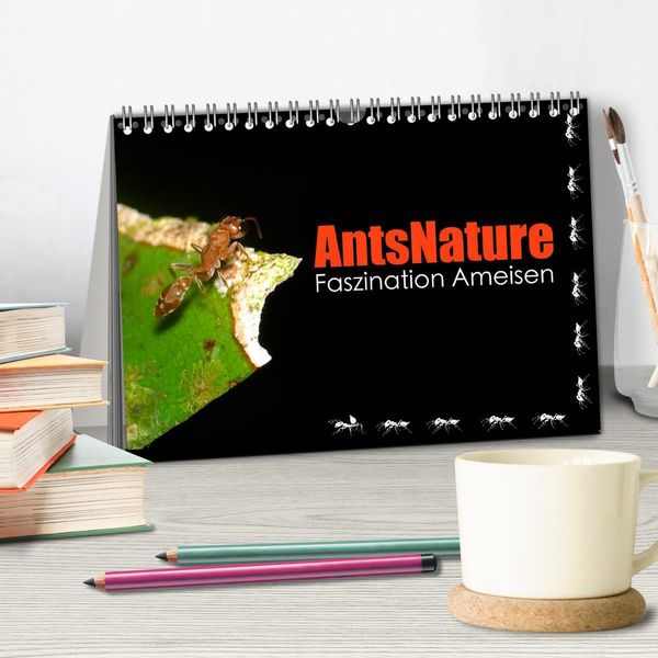 Produktbild: AntsNature - Faszination Ameisen (Tischkalender 2026 DIN A5 quer), CALVENDO Monatskalender