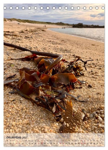 Produktbild: Plages et coquillages (Calendrier de bureau 2027 DIN A5 horizontal), CALVENDO calendrier mensuel