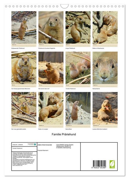 Produktbild: Familie Pr&auml;riehund (Wandkalender 2026 DIN A3 hoch), CALVENDO Monatskalender