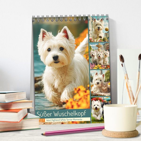 Produktbild: S&uuml;&szlig;er Wuschelkopf. West Highland White Terrier Momente (Tischkalender 2027 DIN A5 hoch), CALVENDO Monatskalender