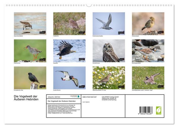 Produktbild: Die Vogelwelt der &Auml;u&szlig;eren Hebriden (hochwertiger Premium Wandkalender 2026 DIN A2 quer), Kunstdruck in Hochglanz