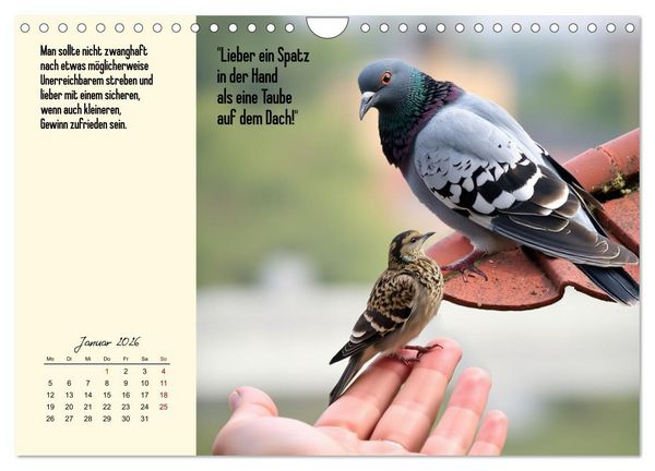 Produktbild: Illustrierte deutsche Redewendungen mit ihrer Bedeutung (Wandkalender 2026 DIN A4 quer), CALVENDO Monatskalender