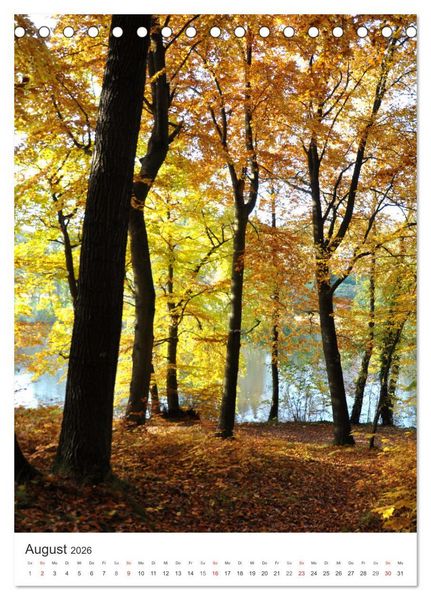 Produktbild: Faszination der Farben im Naturpark Lappwald (Tischkalender 2026 DIN A5 hoch), CALVENDO Monatskalender