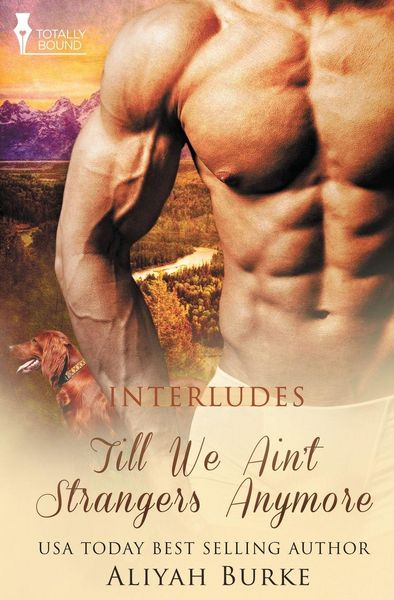 Produktbild: Interludes