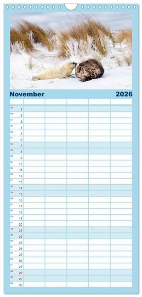 Produktbild: Familienplaner 2026 - Faszination Kegelrobben und Seehunde mit 5 Spalten (Wandkalender, 21 x 45 cm) CALVENDO