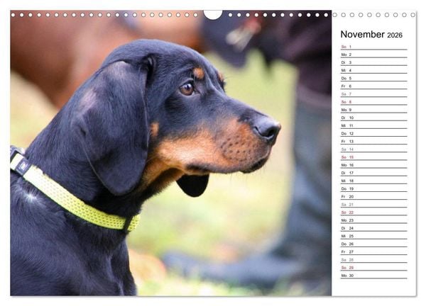 Produktbild: Der Brandlbracken-Terminplaner (Wandkalender 2026 DIN A3 quer), CALVENDO Monatskalender