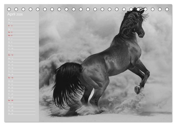 Produktbild: Arabische Pferde (Tischkalender 2026 DIN A5 quer), CALVENDO Monatskalender