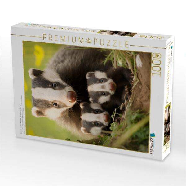 Produktbild: CALVENDO Puzzle Ein Motiv aus dem Kalender "Bezaubernde Dachse" | 1000 Teile Lege-Gr&ouml;&szlig;e 64x48cm Foto-Puzzle f&uuml;r gl&uuml;ckliche Stunden