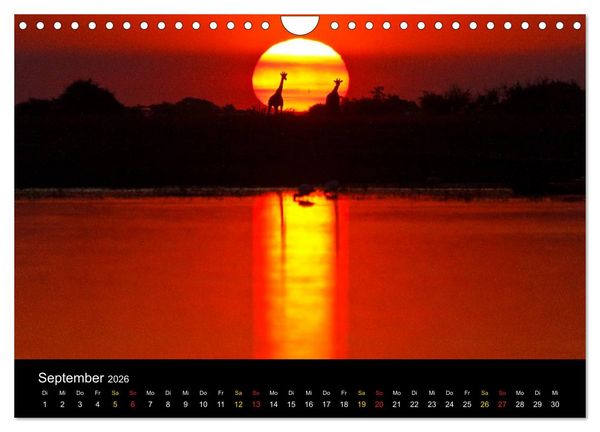 Produktbild: What a wonderful world (Wandkalender 2026 DIN A4 quer), CALVENDO Monatskalender