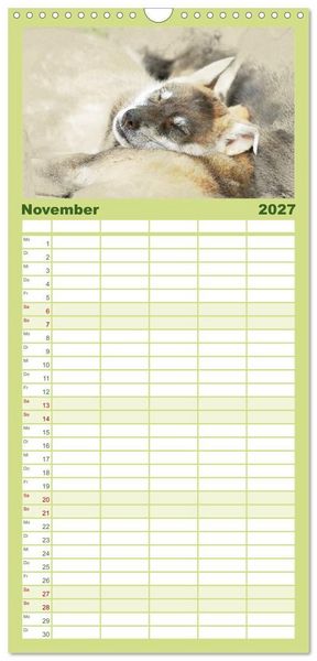 Produktbild: Familienplaner 2027 - Hundewelpen 2027 mit 5 Spalten (Wandkalender, 21 x 45 cm) CALVENDO