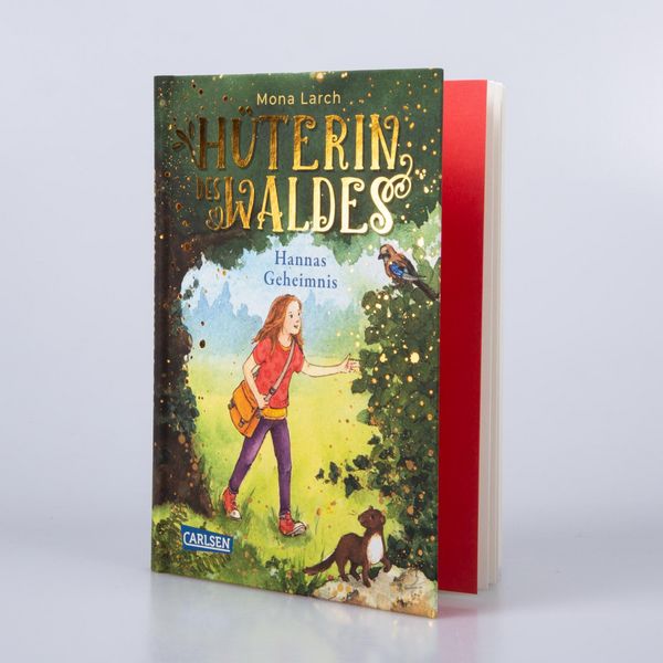Produktbild: H&uuml;terin des Waldes 1: Hannas Geheimnis