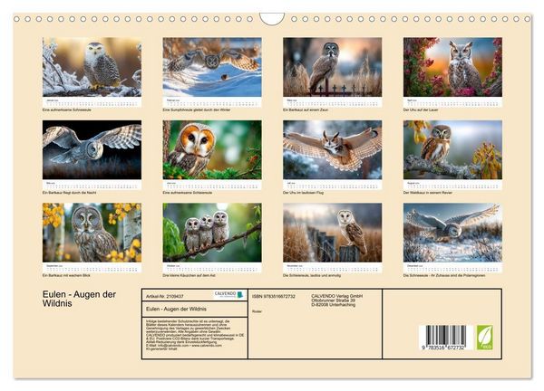 Produktbild: Eulen - Augen der Wildnis (Wandkalender 2026 DIN A3 quer), CALVENDO Monatskalender