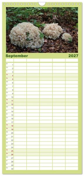 Produktbild: Familienplaner 2027 - Pilzkalender mit 5 Spalten (Wandkalender, 21 x 45 cm) CALVENDO