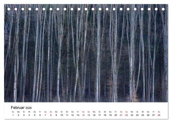 Produktbild: B&auml;ume - Wunder der Natur (Tischkalender 2026 DIN A5 quer), CALVENDO Monatskalender