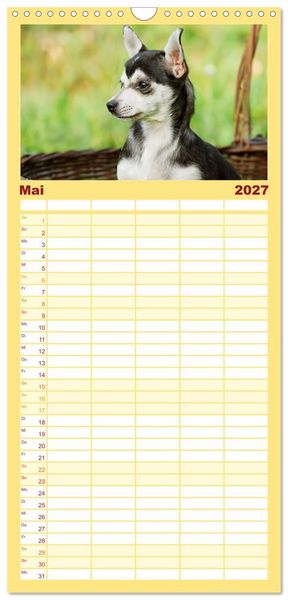 Produktbild: Familienplaner 2027 - Enegieb&uuml;ndel Chihuahua - Temperament auf vier Pfoten mit 5 Spalten (Wandkalender, 21 x 45 cm) CALVENDO