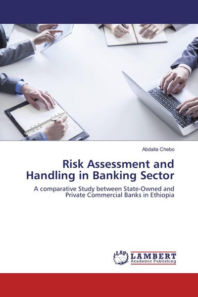 Produktbild: Risk Assessment and Handling in Banking Sector