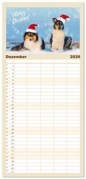 Produktbild: Familienplaner 2026 - Ein Freund f&uuml;rs Leben - Smooth Collie mit 5 Spalten (Wandkalender, 21 x 45 cm) CALVENDO