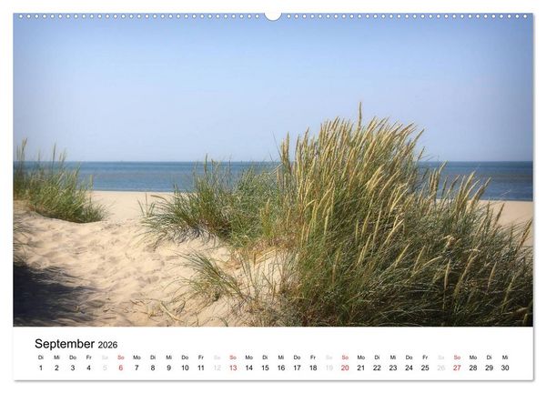 Produktbild: sch&ouml;nes Texel (Wandkalender 2026 DIN A2 quer), CALVENDO Monatskalender
