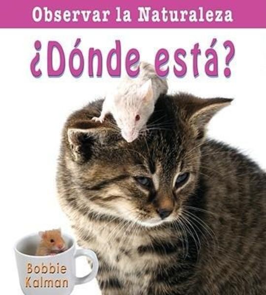 ¿Dónde Está? (Where Is It?), Taschenbuch von Bobbie Kalman, Crabtree, 9780778787389