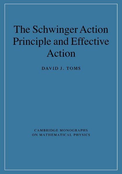 Produktbild: The Schwinger Action Principle and Effective Action