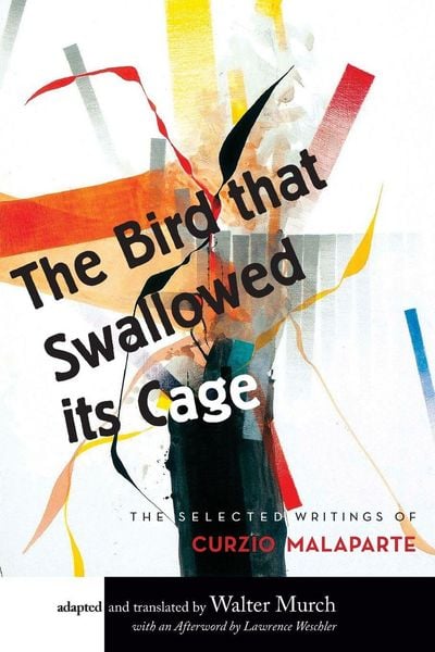 Produktbild: The Bird that Swallowed Its Cage