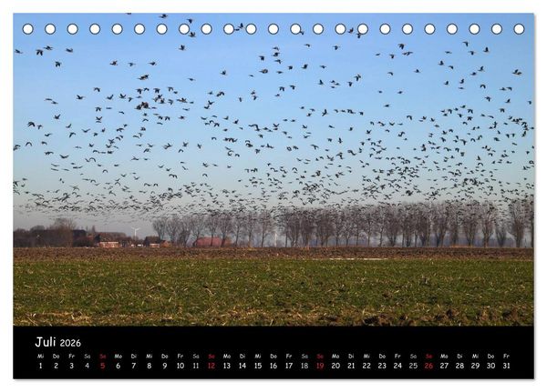 Produktbild: Schrei der Wildg&auml;nse (Tischkalender 2026 DIN A5 quer), CALVENDO Monatskalender