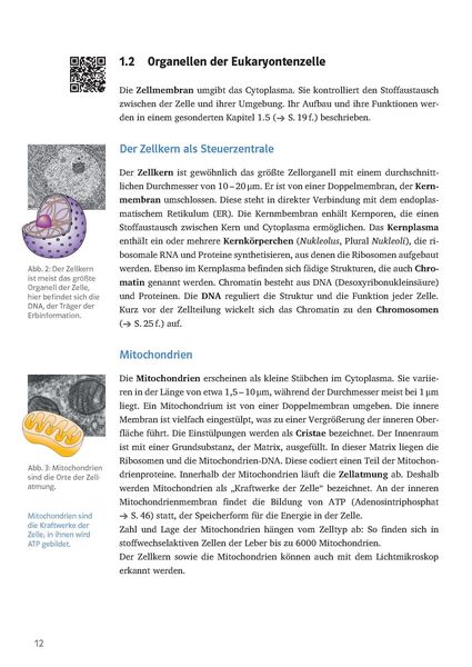 Produktbild: Klett Sicher im Abi Oberstufen-Wissen Biologie