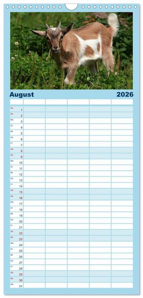 Produktbild: Familienplaner 2026 - Zwergziegen mit 5 Spalten (Wandkalender, 21 x 45 cm) CALVENDO