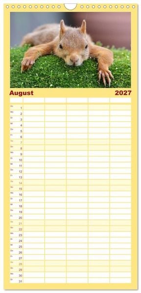 Produktbild: Familienplaner 2027 - Eichh&ouml;rnchen in zauberhaften Posen mit 5 Spalten (Wandkalender, 21 x 45 cm) CALVENDO