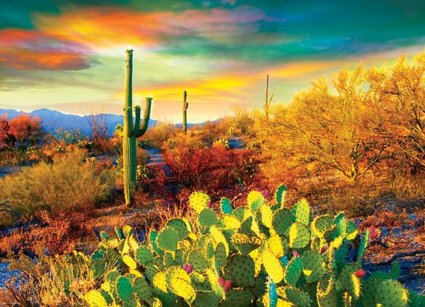 Produktbild: Desert Dreams