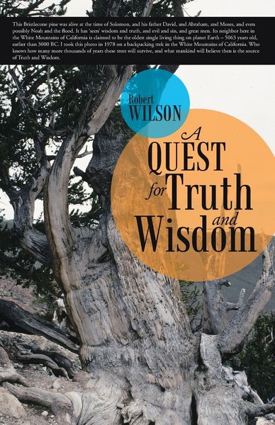 Produktbild: A Quest for Truth and Wisdom