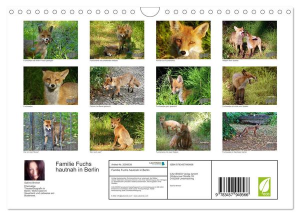 Produktbild: Familie Fuchs hautnah in Berlin (Wandkalender 2026 DIN A4 quer), CALVENDO Monatskalender
