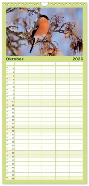 Produktbild: Familienplaner 2026 - Die farbenfrohe Welt der Finken mit 5 Spalten (Wandkalender, 21 x 45 cm) CALVENDO