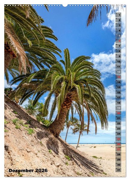 Produktbild: FUERTEVENTURA S&uuml;dsee-Flair (hochwertiger Premium Wandkalender 2026 DIN A2 hoch), Kunstdruck in Hochglanz