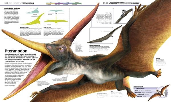 Produktbild: DK Wissen. Dinosaurier