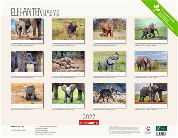 Produktbild: Elefantenbabys Kalender 2027