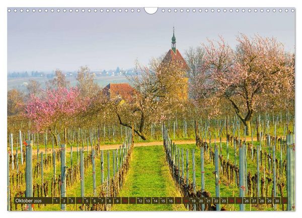 Produktbild: Mandelbl&uuml;tenzauber an der Deutschen Weinstra&szlig;e (Wandkalender 2026 DIN A3 quer), CALVENDO Monatskalender