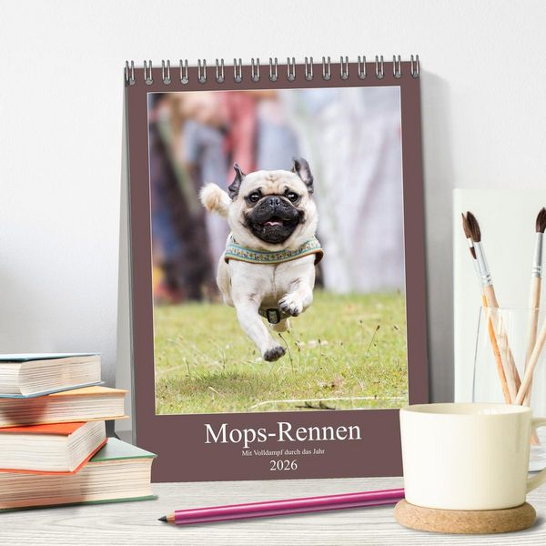 Produktbild: Mops-Rennen (Tischkalender 2026 DIN A5 hoch), CALVENDO Monatskalender
