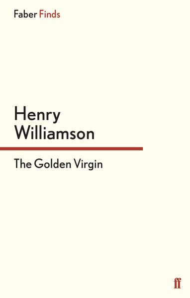 Produktbild: The Golden Virgin