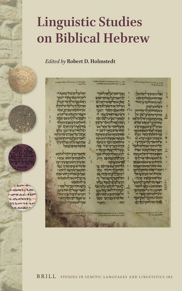 Produktbild: Linguistic Studies on Biblical Hebrew