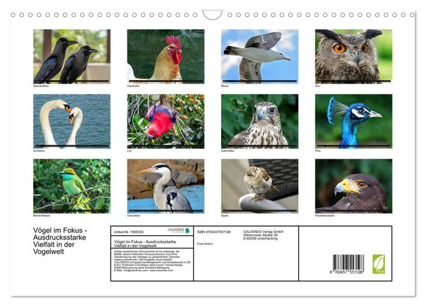 Produktbild: V&ouml;gel im Fokus - Ausdrucksstarke Vielfalt in der Vogelwelt (Wandkalender 2026 DIN A3 quer), CALVENDO Monatskalender